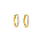 Bree Huggie Earrings - earnings