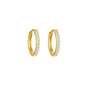 Bree Huggie Earrings - earnings